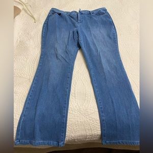 Belle by Kim gravel plus size jeans